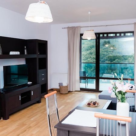 Nature Escape Apartment Μπρασόβ Εξωτερικό φωτογραφία