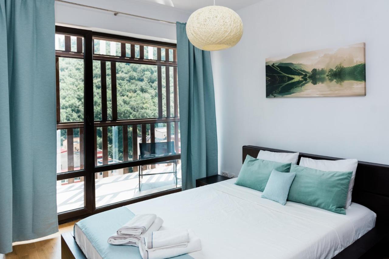 Nature Escape Apartment Μπρασόβ Εξωτερικό φωτογραφία