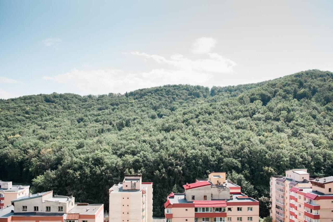 Nature Escape Apartment Μπρασόβ Εξωτερικό φωτογραφία